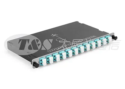 TS-MD2 Module Cassette